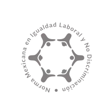 logo igualdad laboral