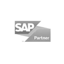 sap partner